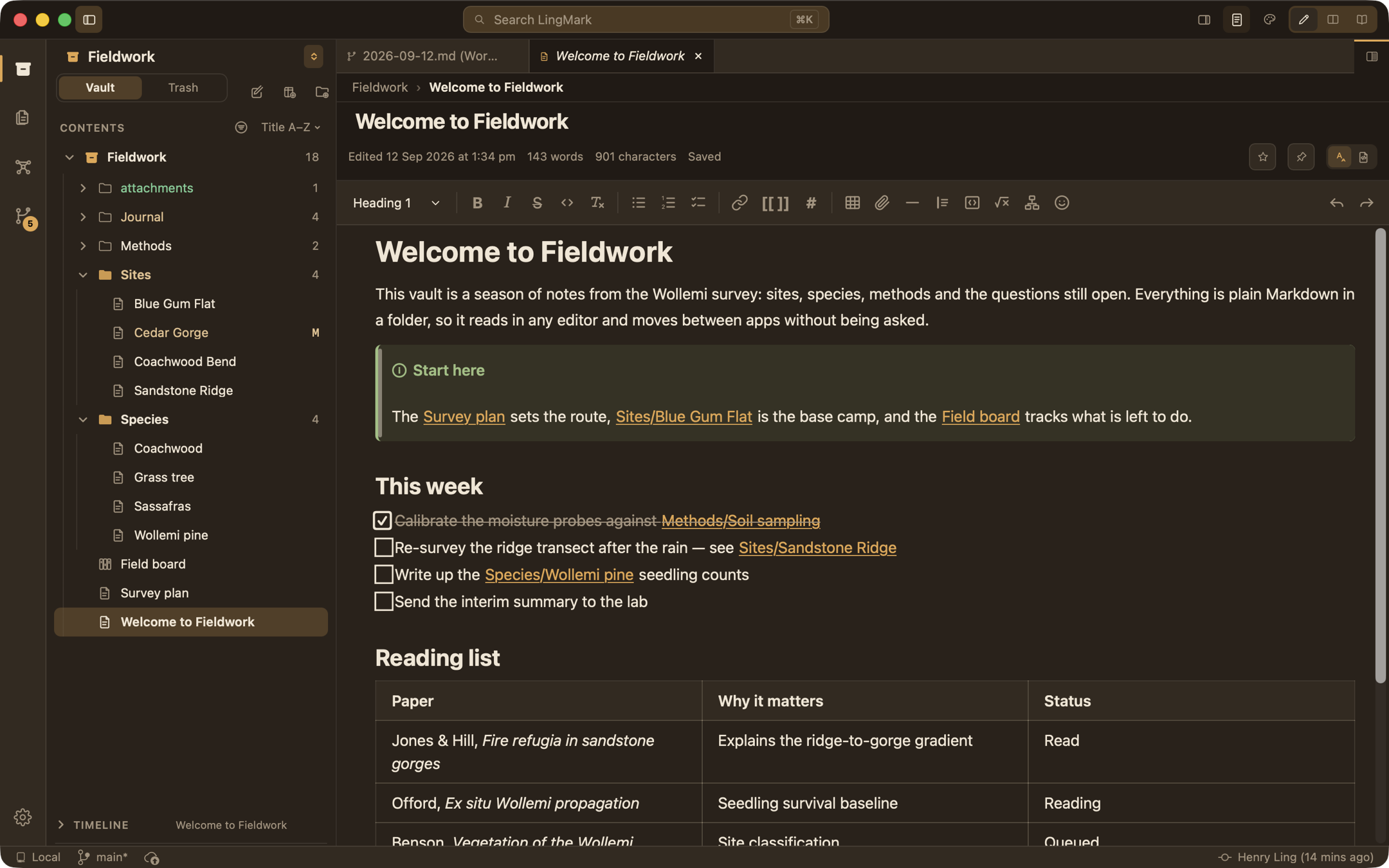 The rich editor in the warm dark Lamplight theme