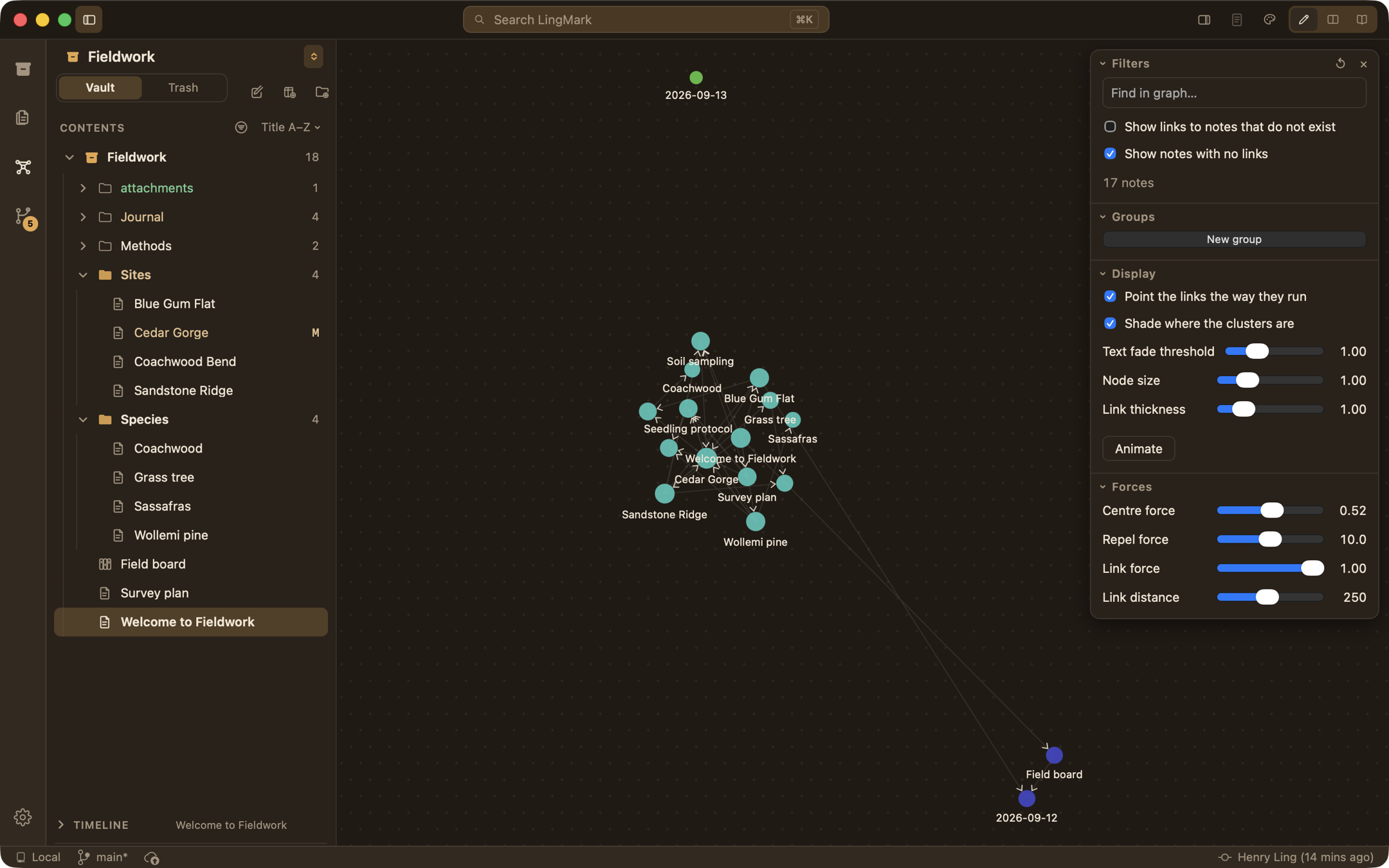 LingMark's knowledge graph with clustered notes and the settings panel open